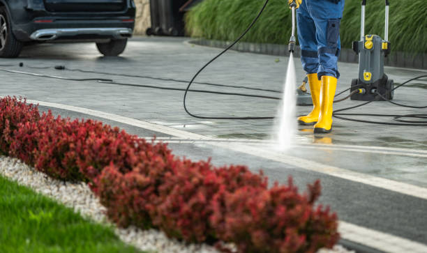 Best Fence Cleaning  in East Grand Forks, MN